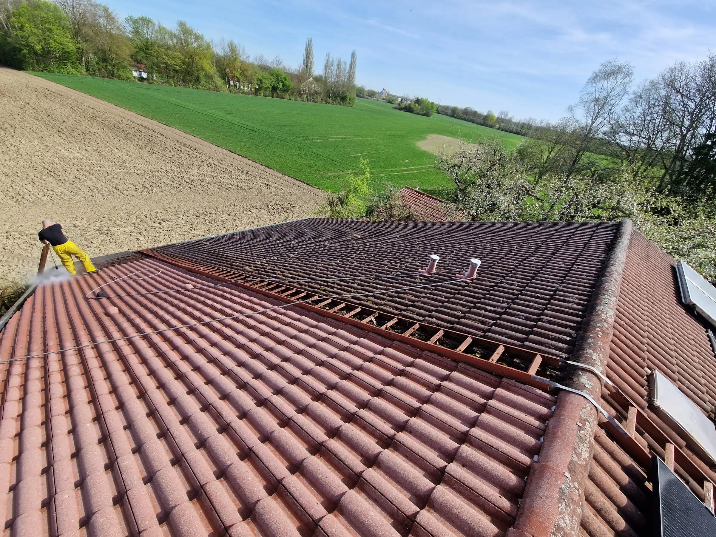 Dachreinigung: links bereits gereinigte, rechts noch bemooste Dachziegel
